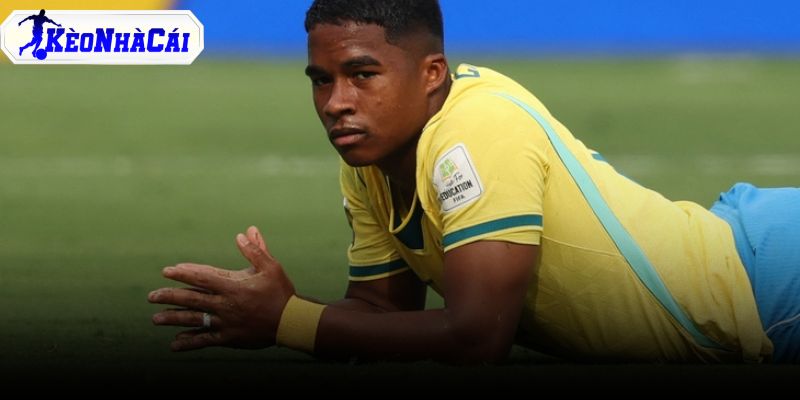 brazil-bi-loai-cuoc-tai-thiet-bat-dau brazil-bi-loai-cuoc-tai-thiet-bat-dau