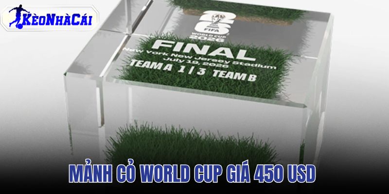 Mảnh cỏ World Cup giá 450 USD