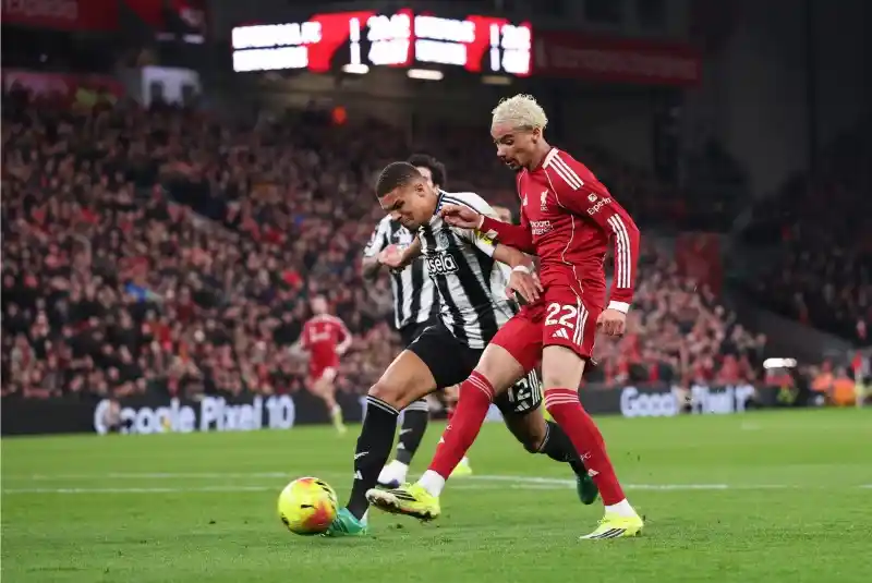 Thành tích thi đấu gần đây của Newcastle vs Liverpool