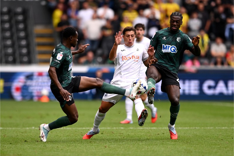 Trước trận đấu Swansea vs Watford