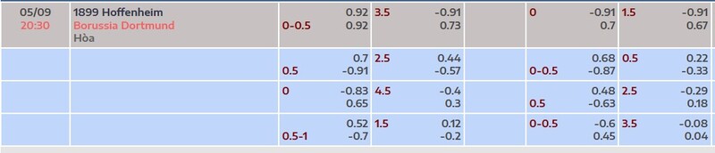 Bảng tỷ lệ kèo trận đấu Hoffenheim vs Dortmund