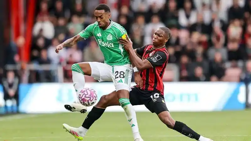 Thành tích thi đấu gần đây của Newcastle vs Bournemouth