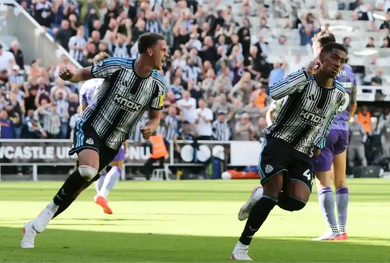 Thành tích thi đấu gần đây của Newcastle vs Hull City