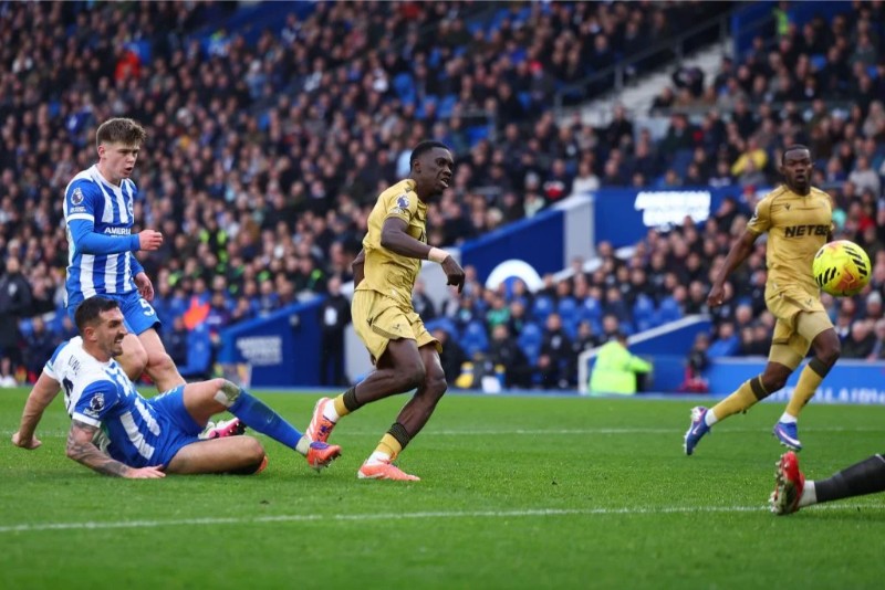 Trước trận đấu Brighton vs Crystal Palace